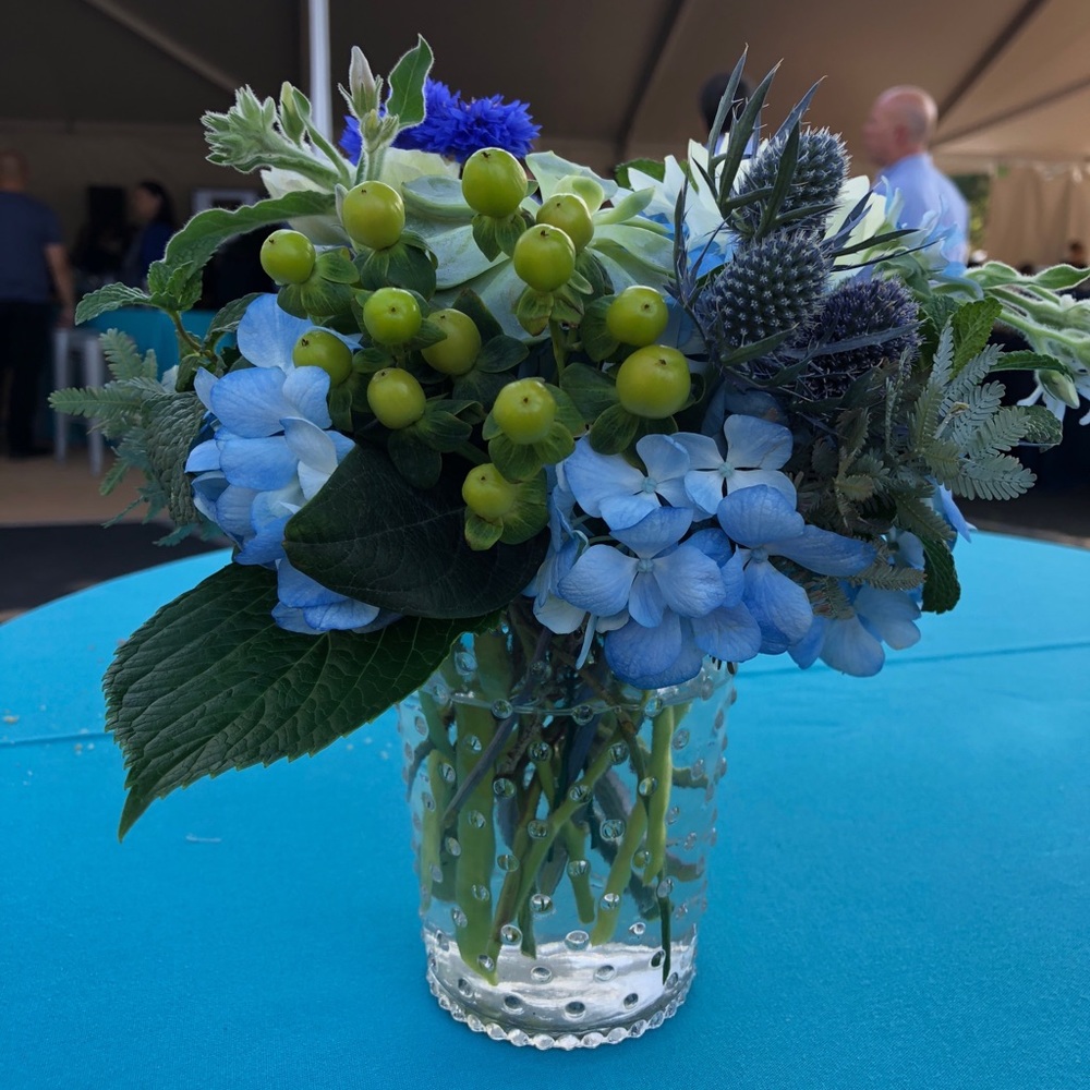 Meet your Posher, Kirstie